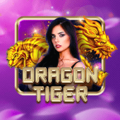 Dragon Tiger live dealer card table