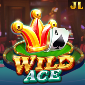 Wild Ace aviation themed slot
